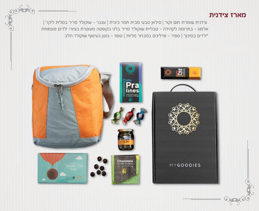 מארז צידנית