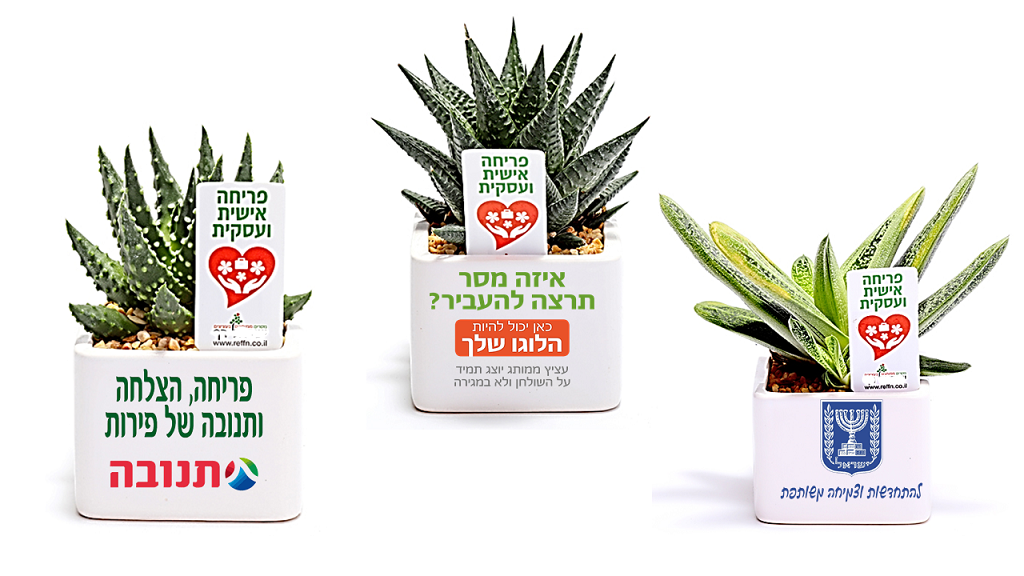 עציץ ממותג מסר של פריחה | עציצים ממותגים | עציצים למתנות ולאירועים | עציץ ממותג | עציצים ללקוחות | עציצים לעובדים עציצם לכנסים | עציצים ממותגים לאירועים | עציצים ממותגים לראש השנה | עציץ ממותג לחג | מסרים ממותגים בעציצים עציץ פלסטיק ממותג | קקטוס בעציץ ממותג | עציץ בונסאי ממותג| עציץ ממותג לט"ו בשבט | עציץ השלום בעץ הזית