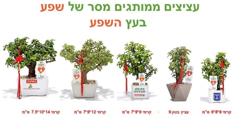 עציץ ממותג מסר של פריחה | עציצים ממותגים | עציצים למתנות ולאירועים | עציץ ממותג | עציצים ללקוחות | עציצים לעובדים עציצם לכנסים | עציצים ממותגים לאירועים | עציצים ממותגים לראש השנה | עציץ ממותג לחג | מסרים ממותגים בעציצים עציץ פלסטיק ממותג | קקטוס בעציץ ממותג | עציץ בונסאי ממותג| עציץ ממותג לט"ו בשבט | עציץ השלום בעץ הזית