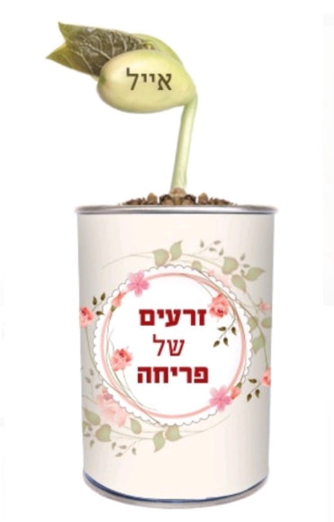 עציץ הפלא - צמח בפחית עם מסר אישי | צמח בצינצנת עם מסר אישי