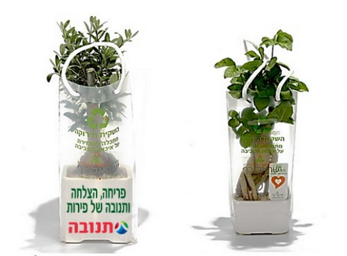 עציצים ממותגים - עציצים למתנות ולאירועים, עציץ ממותג בעציץ ללקוחות, עציצים לעובדים לאורחים כנסים. עציצים ממותגים לאירועים,עציצים מתנות לכנסים. מוצרי פרסום ממותגים, עציץ לראש השנה, עציץ לחגים.עציצים ממותגים, מסרים ממותגים בעציצים עציץ פלסטיק ממותג קקטוס בעציץ עציץ בונסאי - מתנות לט"ו בשבט - עציץ השלום בעץ הזית | עציץ בטון ממותג