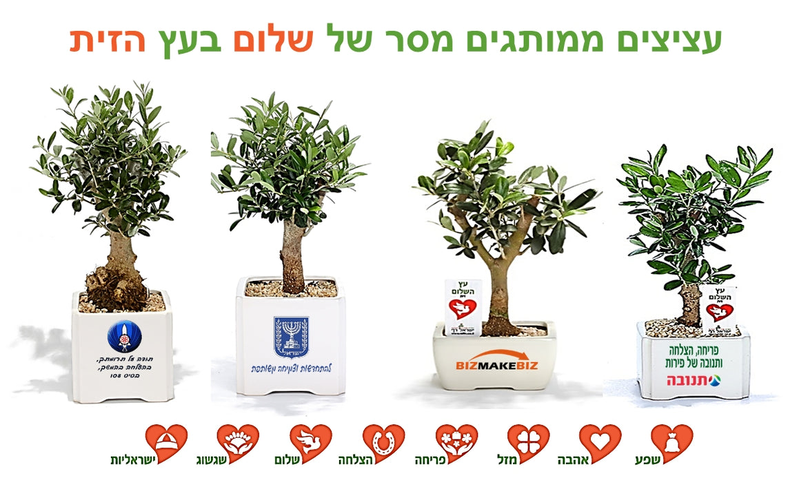 עציצים ממותגים | עציצים למתנות ולאירועים | עציץ ממותג ב| עציצים ללקוחות | עציצים לעובדים עציצים לאורחים עציצים ממותגים לכנסים | עציצים ממותגים לאירועים | עציצים מתנות לכנסים| מוצרי פרסום ממותגים בעציץ |  עציץ ממותג לראש השנה | עציץ  ממותג לחגים | עציצים ממותגים לחגים מסרים ממותגים בעציצים | עציץ פלסטיק ממותג | קקטוס בעציץ ממותג | עציץ בונסאי ממותג |  עציצים ממותגים לט"ו בשבט  | מתנות לט"ו בשבט | מתנות ממותגות לט"ו בשבט | עציץ השלום בעץ הזית