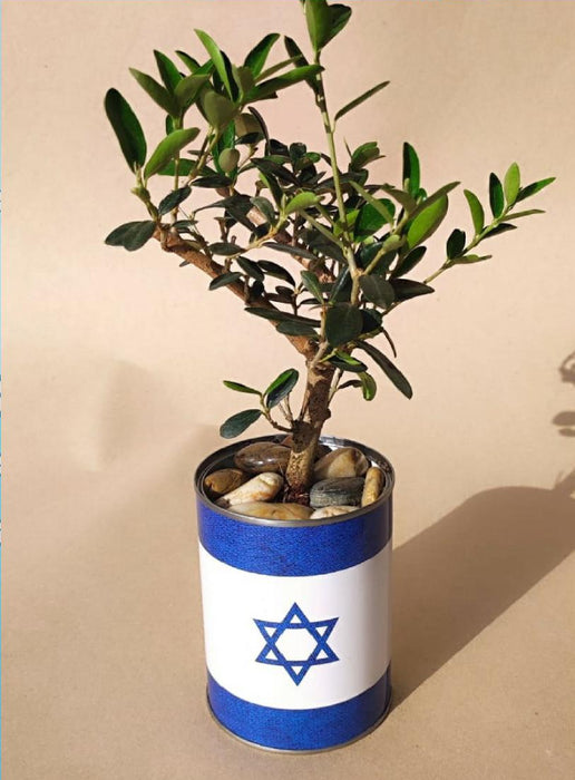 מתנת שבועות ייחודית
עציץ חי בתוך פחית ממותגת | פחית שבועות ממותגת | עציץ שבועות ממותג | פחית ממותגת לשבועות | מתנה לשבועות 