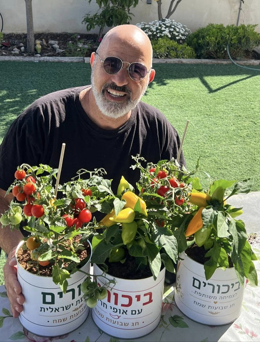 מתנת שבועות ייחודית
עציץ חי בתוך פחית ממותגת | פחית שבועות ממותגת | עציץ שבועות ממותג | פחית ממותגת לשבועות | מתנה לשבועות 