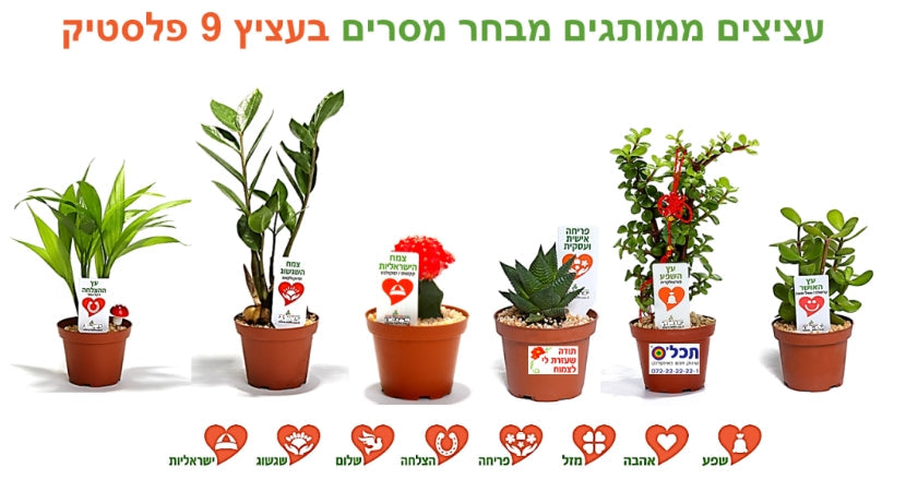 עציצים ממותגים - עציצים למתנות ולאירועים | עציצים ממותגים ללקוחות | עציצים לעובדים עציצים לכנסים. עציצים ממותגים לאירועים ,עציצים מתנות לכנסים. מוצרי פרסום ממותגים בעציץ |  עציצים לראש השנה | שי לחגים בעציץ ממותג | מסרים ממותגים בעציצים |  עציץ פלסטיק ממותג 