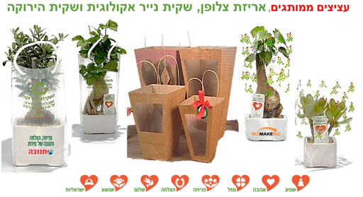 ציצים ממותגים - עציצים למתנות ולאירועים, עציץ ממותג בעציץ ללקוחות, עציצים לעובדים לאורחים כנסים. עציצים ממותגים לאירועים,עציצים מתנות לכנסים. מוצרי פרסום ממותגים, עציץ לראש השנה, עציץ לחגים.עציצים ממותגים, מסרים ממותגים בעציצים עציץ פלסטיק ממותג קקטוס בעציץ עציץ בונסאי - מתנות לט"ו בשבט - עציץ השלום בעץ הזית | עציץ בטון ממותג