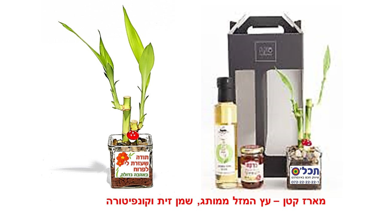 מארז שי פרימיום עץ שפע

מארז שי, עץ אהבה ויין

מארז שי, עץ השפע ושיכר

מארז שי, עציץ הצלחה ויין

מארז שי, עץ המזל לאקי ושיכר

מארז שי, עץ זית ויין 

 מארז שי, פריחה שמן וקונפיטורה

 מארזי שי, עץ השפע ומעדנים
 מארז שי, עץ הצלחה ויין

מארז שי, מסר לפריחה ויין

מארזי שי, עציץ ופירות יבשים