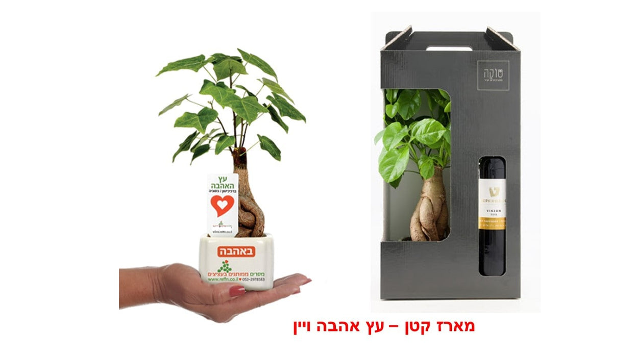 מארז שי פרימיום עץ שפע

מארז שי, עץ אהבה ויין

מארז שי, עץ השפע ושיכר

מארז שי, עציץ הצלחה ויין

מארז שי, עץ המזל לאקי ושיכר

מארז שי, עץ זית ויין 

 מארז שי, פריחה שמן וקונפיטורה

 מארזי שי, עץ השפע ומעדנים
 מארז שי, עץ הצלחה ויין

מארז שי, מסר לפריחה ויין

מארזי שי, עציץ ופירות יבשים
