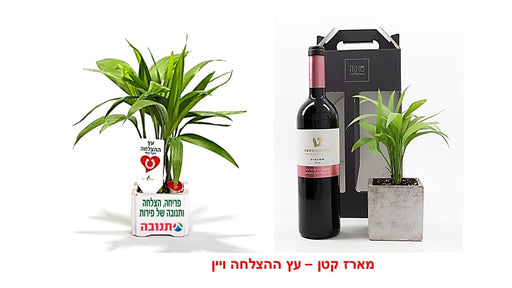 מארז שי פרימיום עץ שפע

מארז שי, עץ אהבה ויין

מארז שי, עץ השפע ושיכר

מארז שי, עציץ הצלחה ויין

מארז שי, עץ המזל לאקי ושיכר

מארז שי, עץ זית ויין 

 מארז שי, פריחה שמן וקונפיטורה

 מארזי שי, עץ השפע ומעדנים
 מארז שי, עץ הצלחה ויין

מארז שי, מסר לפריחה ויין

מארזי שי, עציץ ופירות יבשים