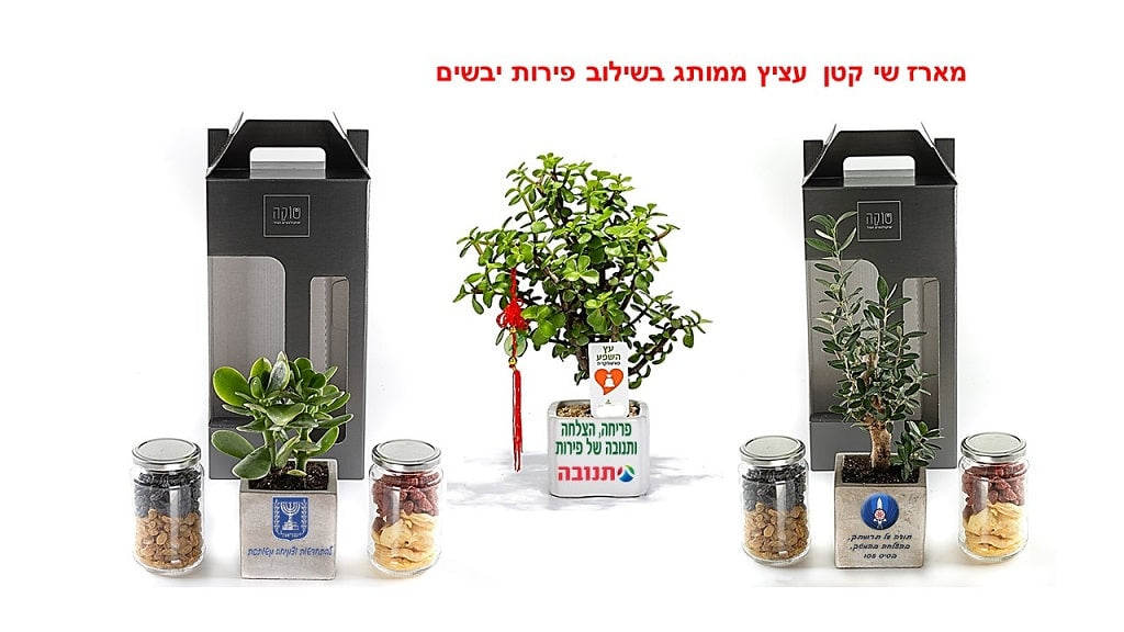 מארז שי פרימיום עץ שפע

מארז שי, עץ אהבה ויין

מארז שי, עץ השפע ושיכר

מארז שי, עציץ הצלחה ויין

מארז שי, עץ המזל לאקי ושיכר

מארז שי, עץ זית ויין 

 מארז שי, פריחה שמן וקונפיטורה

 מארזי שי, עץ השפע ומעדנים
 מארז שי, עץ הצלחה ויין

מארז שי, מסר לפריחה ויין

מארזי שי, עציץ ופירות יבשים