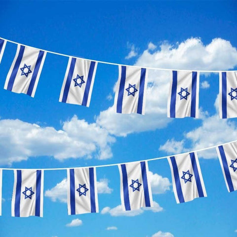 שרשרת דגלים ליום העצמאות שרשראות דגלים  | שרשרת דגלי ישראל | שרשרת דגלים מותגים | דגלים ממותגים בשרשרת | 